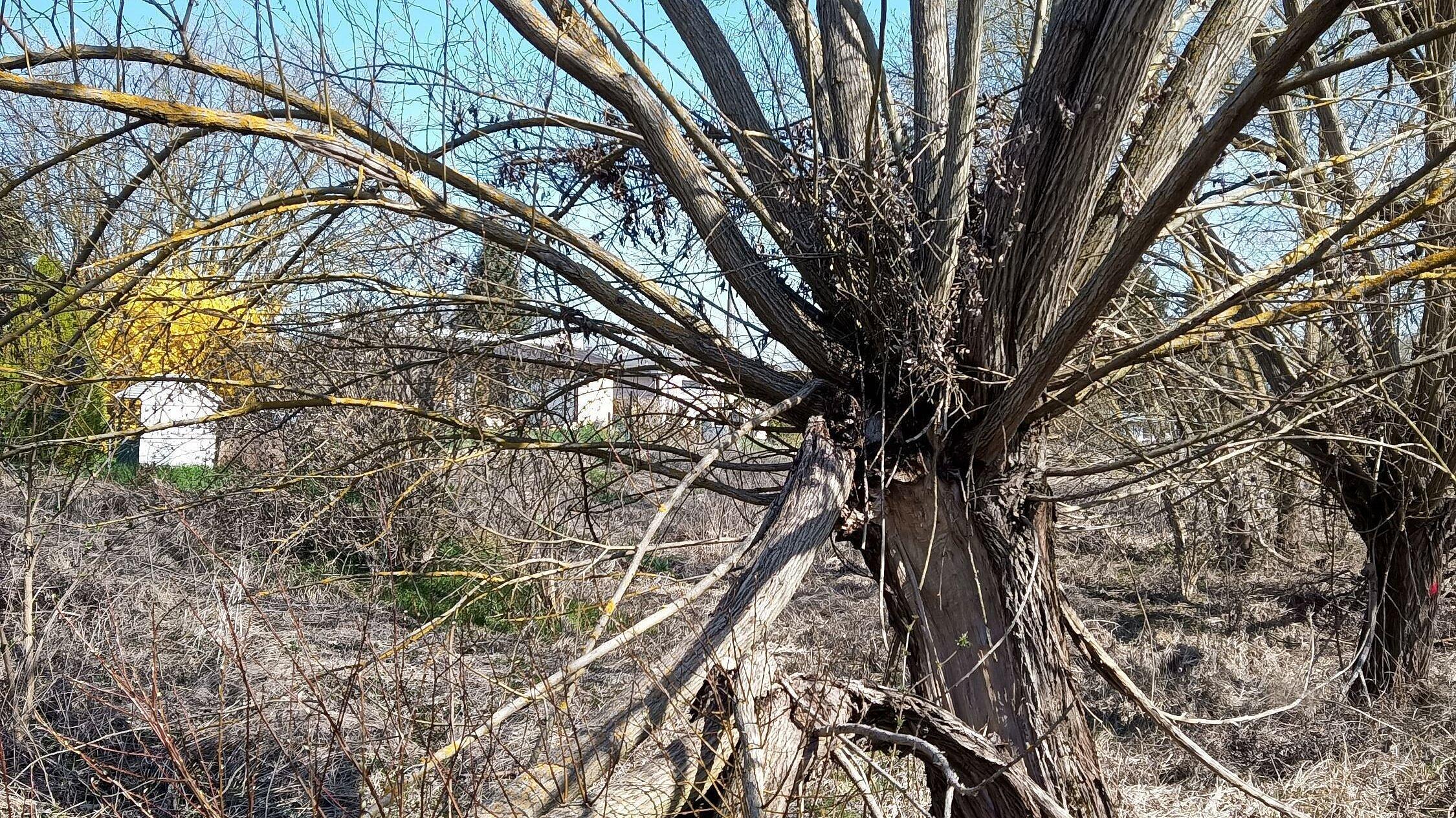 undefined. © Stadt Gera. © Stadt Gera