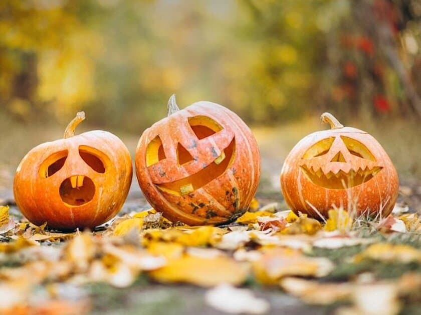 geschnitzte Kürbisse zu Halloween. © Pixabay