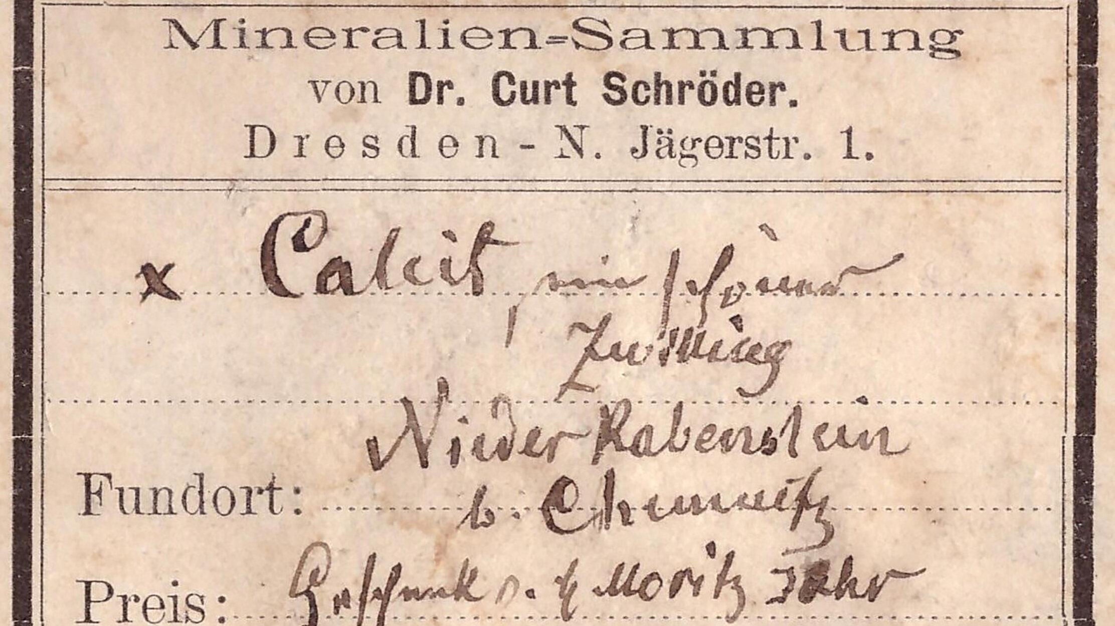 undefined. © Stadt Gera / Museum für Naturkunde (Fotograf: Frank Hrouda). © Stadt Gera / Museum für Naturkunde (Fotograf: Frank Hrouda)