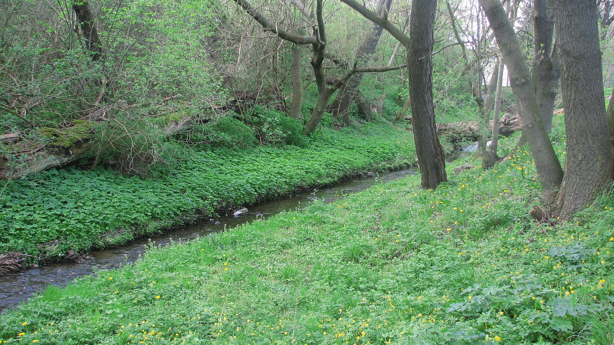 undefined. © Andrea Geithner. © Andrea Geithner