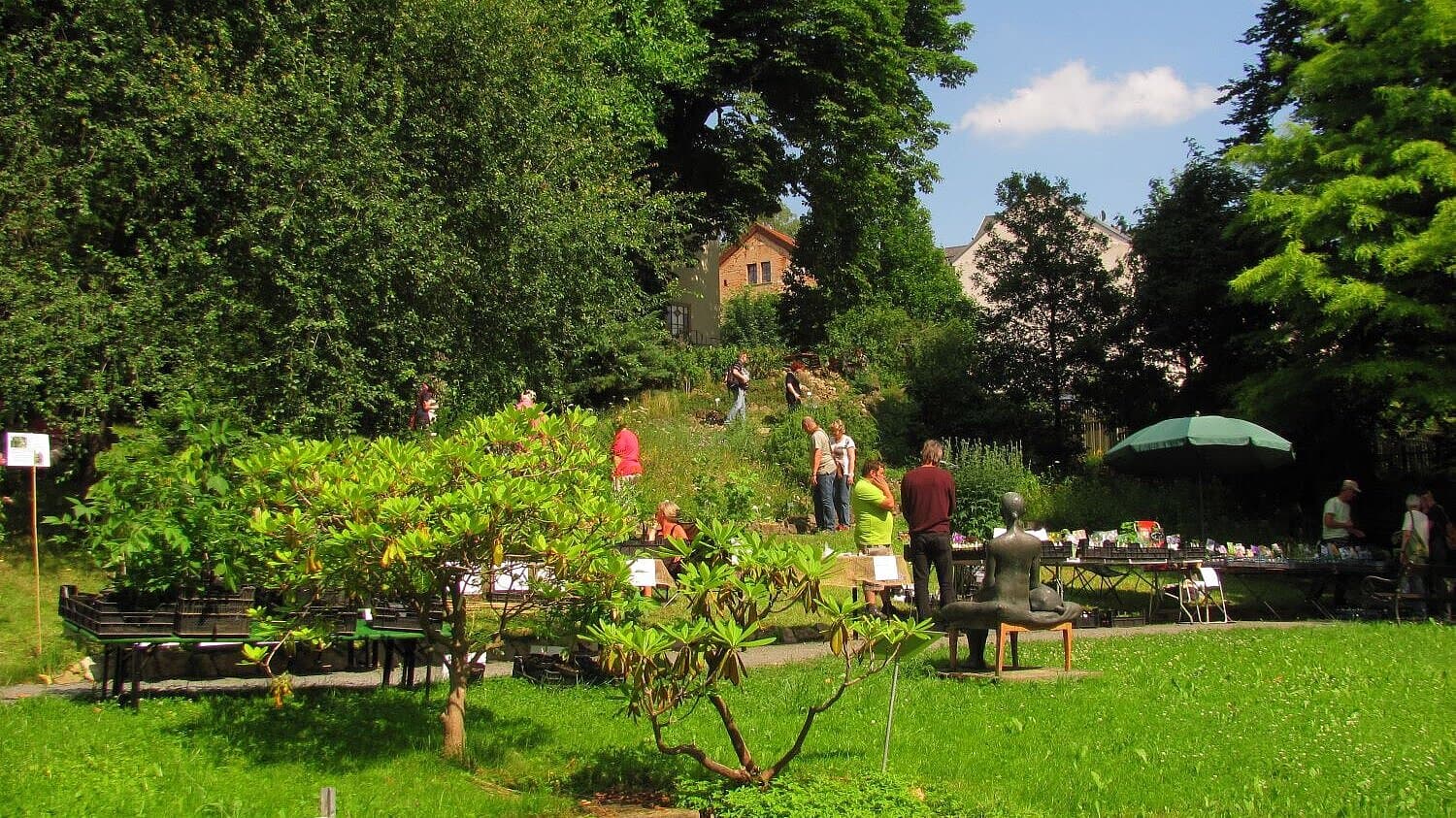 Üppig grüner Botanischen Garten Gera während der Pflanzenbörse. © Stadt Gera / Museum für Naturkunde