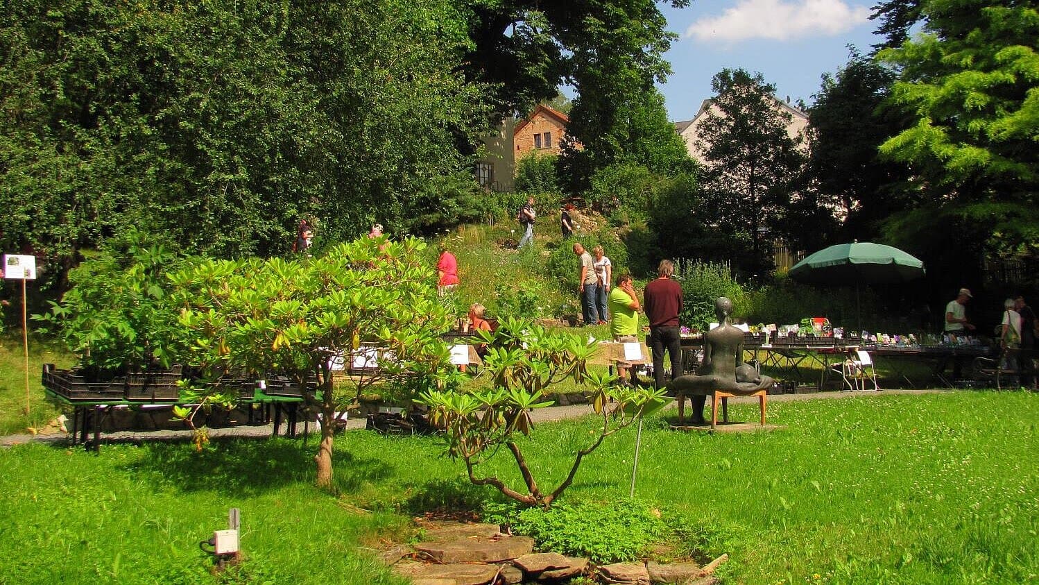 Üppig grüner Botanischen Garten Gera während der Pflanzenbörse. © Stadt Gera / Museum für Naturkunde