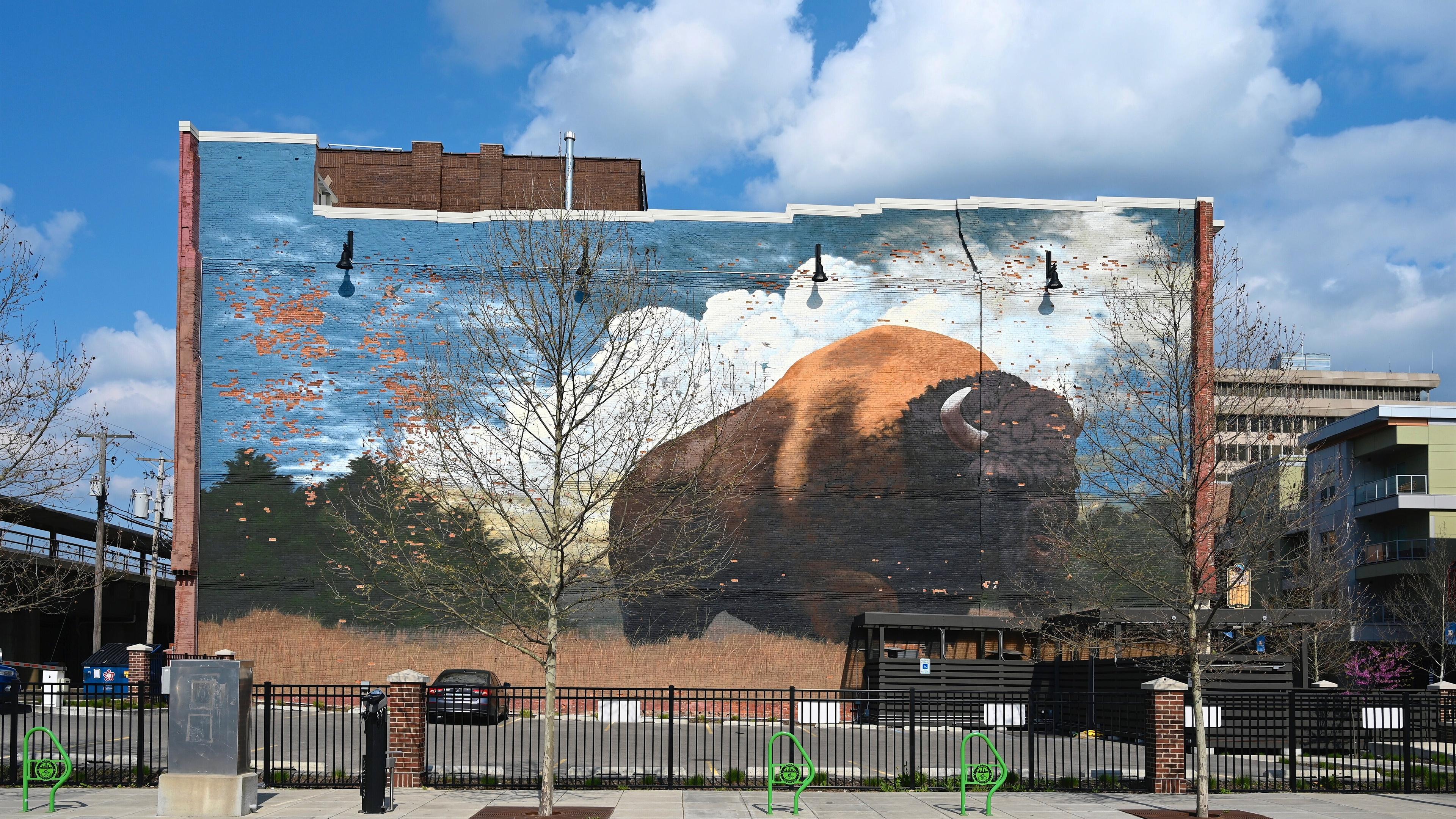 undefined. © Ramon Miller. © Ramon Miller