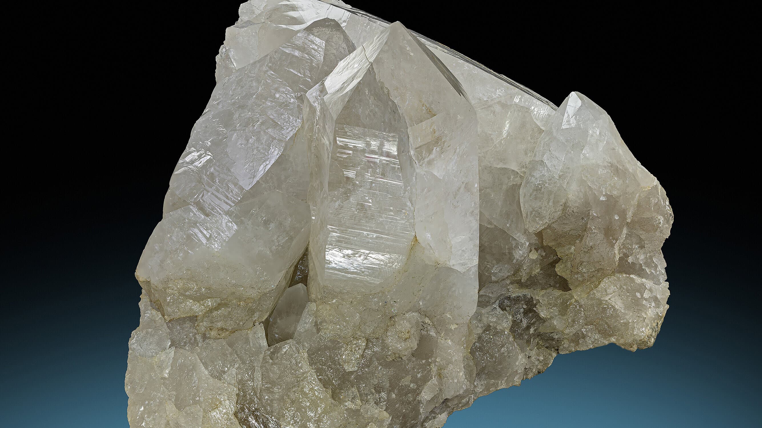 undefined. © Stadt Gera / Museum für Naturkunde (Fotograf: Robert Kennedy). © Stadt Gera / Museum für Naturkunde (Fotograf: Robert Kennedy)