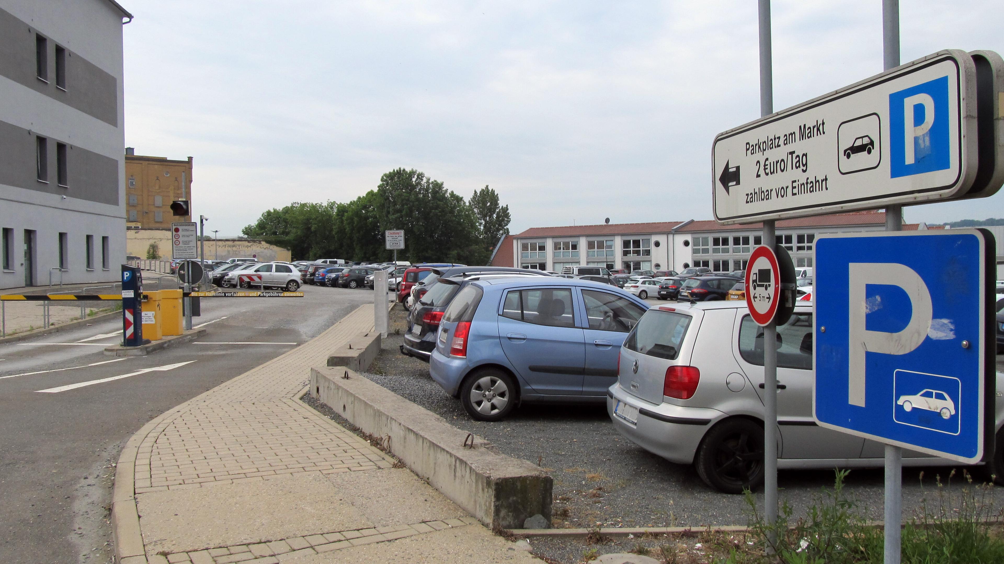 undefined. © Stadt Gera / Museum für Naturkunde (Fotograf: Frank Hrouda). © Stadt Gera / Museum für Naturkunde (Fotograf: Frank Hrouda)