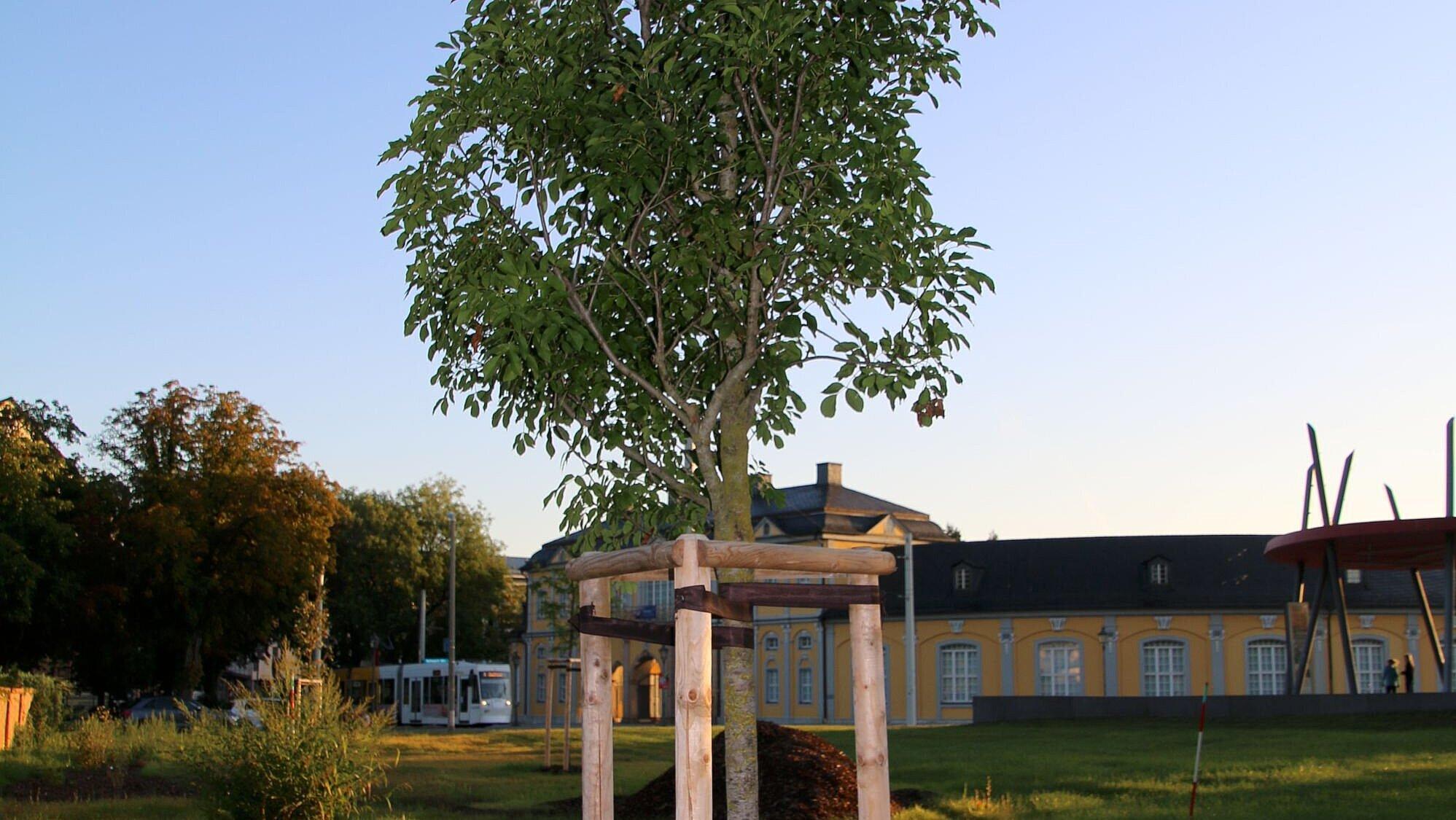 undefined. © Stadt Gera. © Stadt Gera