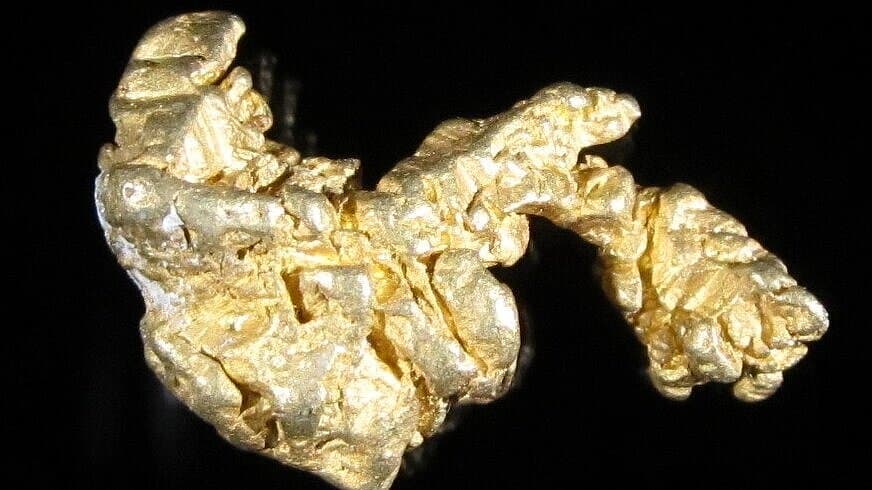 Gold. © Stadt Gera / Museum für Naturkunde (Fotograf: Frank Hrouda)