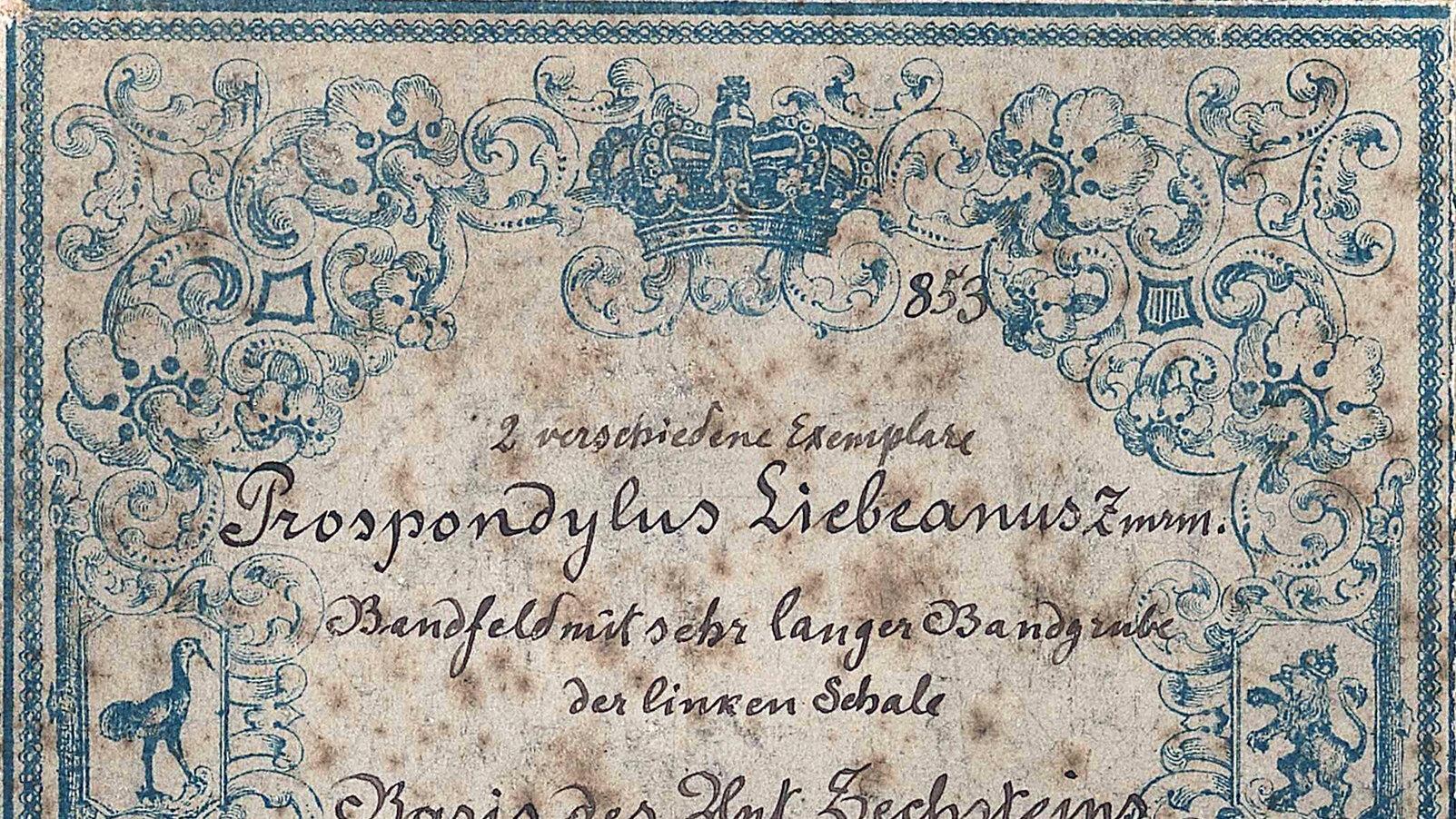 undefined. © Stadt Gera / Museum für Naturkunde (Fotograf: Frank Hrouda). © Stadt Gera / Museum für Naturkunde (Fotograf: Frank Hrouda)