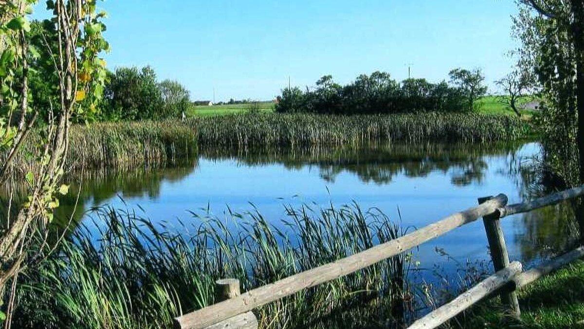 Teich in Steinbrücken. © Chr. Faber