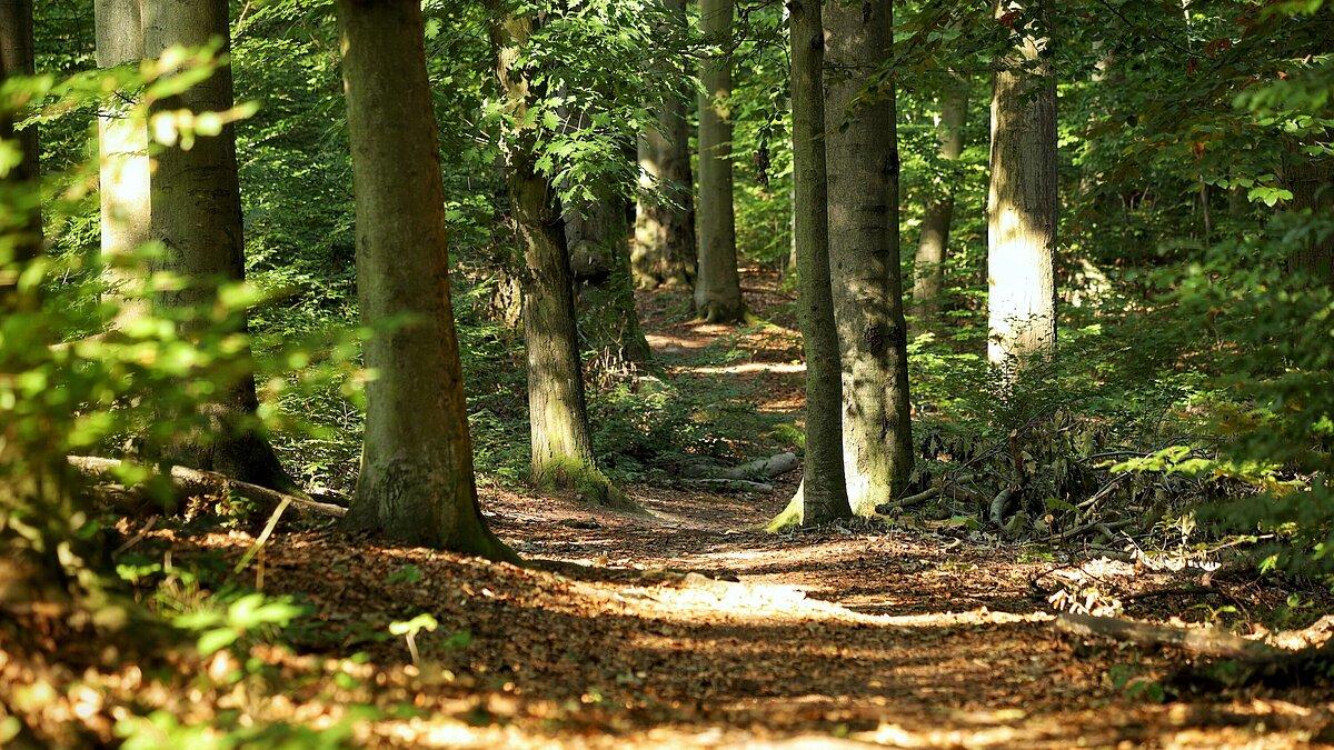 . © Tim Christensen