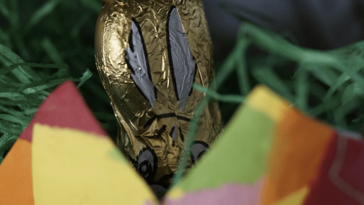 ein Schokohase sitzt im Osternest. © Pixabay