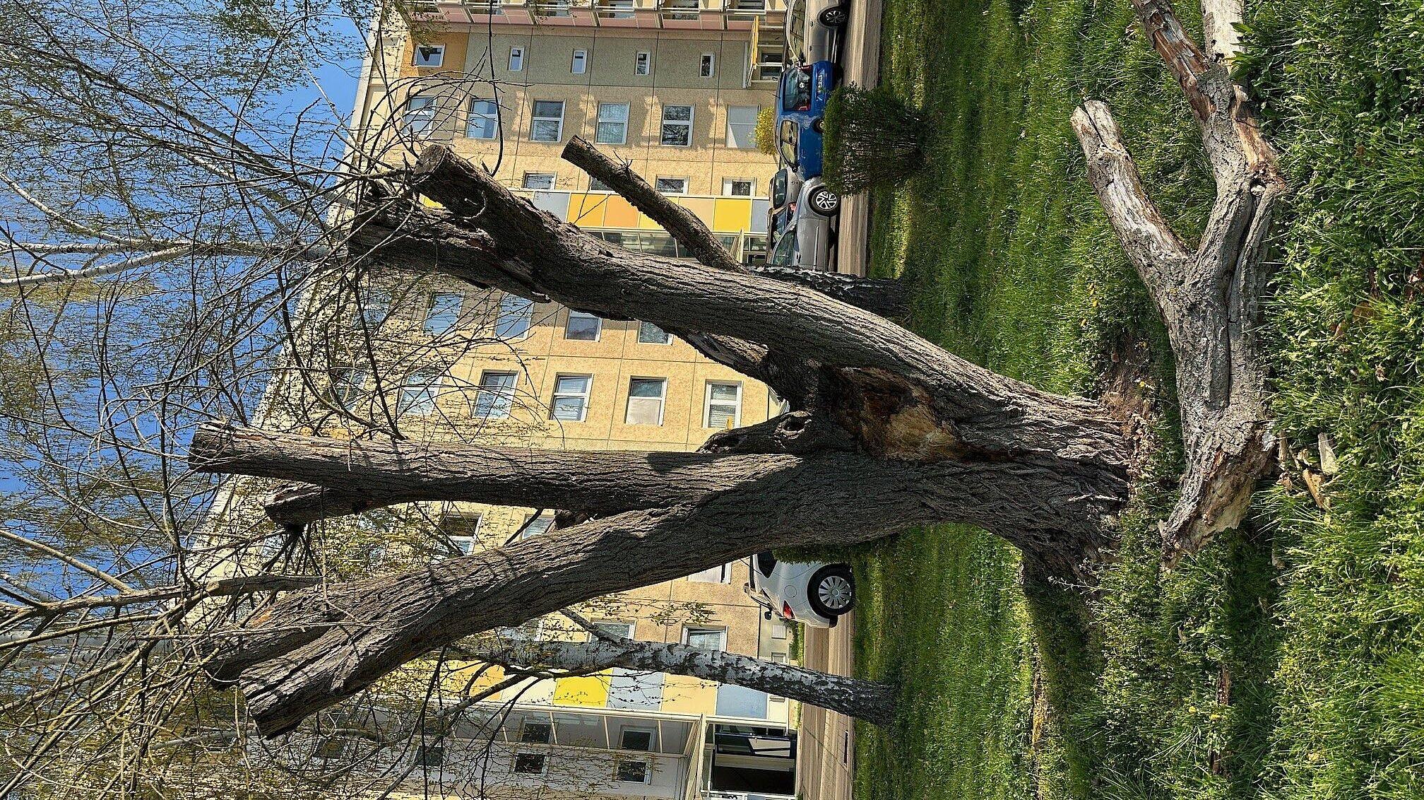 undefined. © Stadt Gera. © Stadt Gera