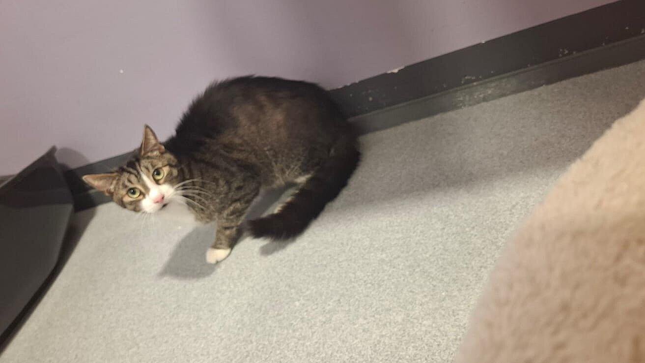 undefined. © Stadt Gera. © Stadt Gera