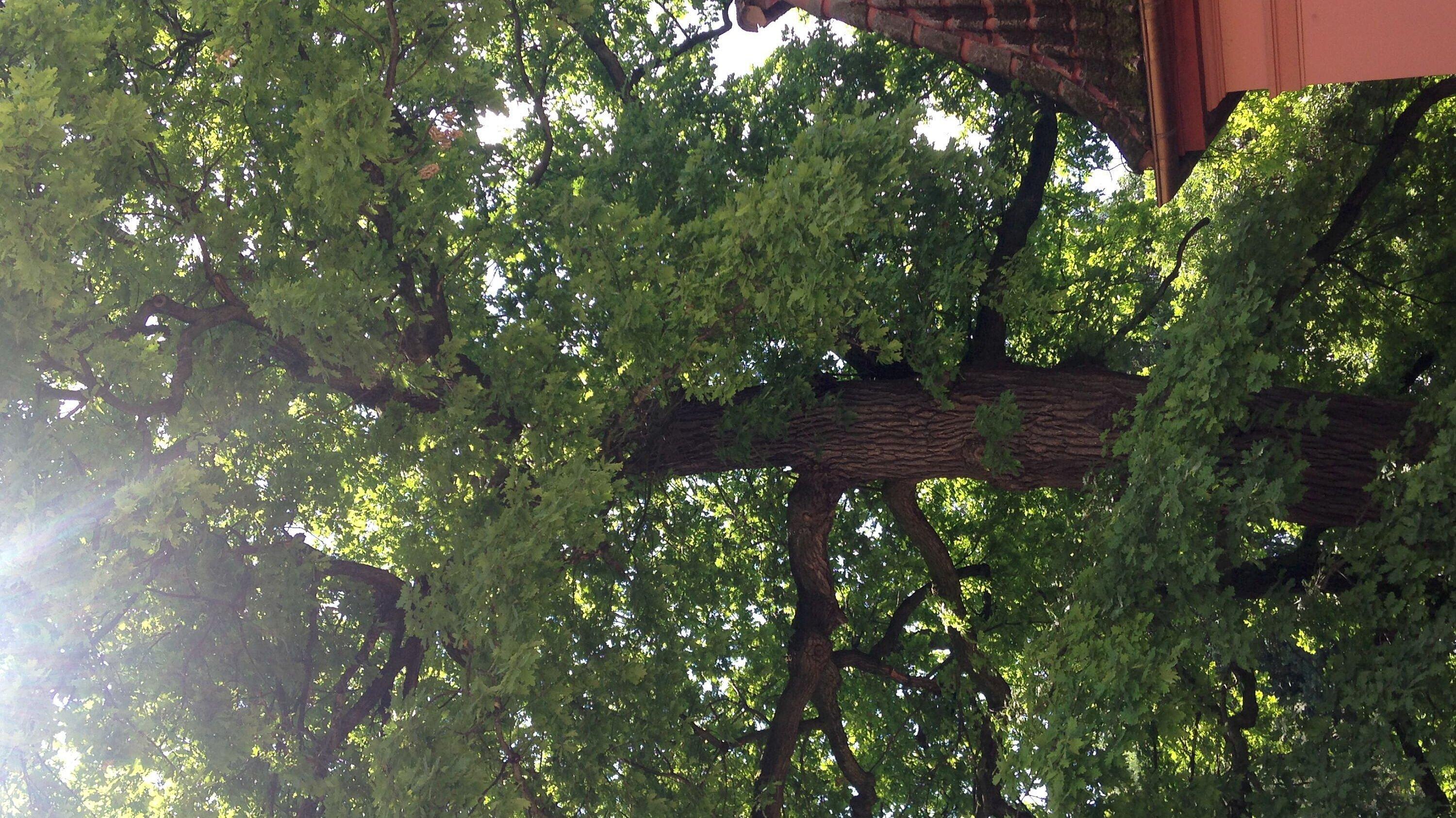 undefined. © Stadt Gera. © Stadt Gera