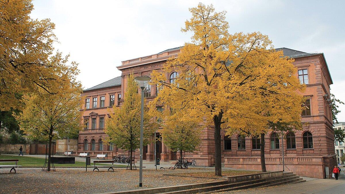 Der Johannisplatz befindet sich im Stadtzentrum. Auf dem Bild ist zudem das Gymnasium Rutheneum zu sehen. 