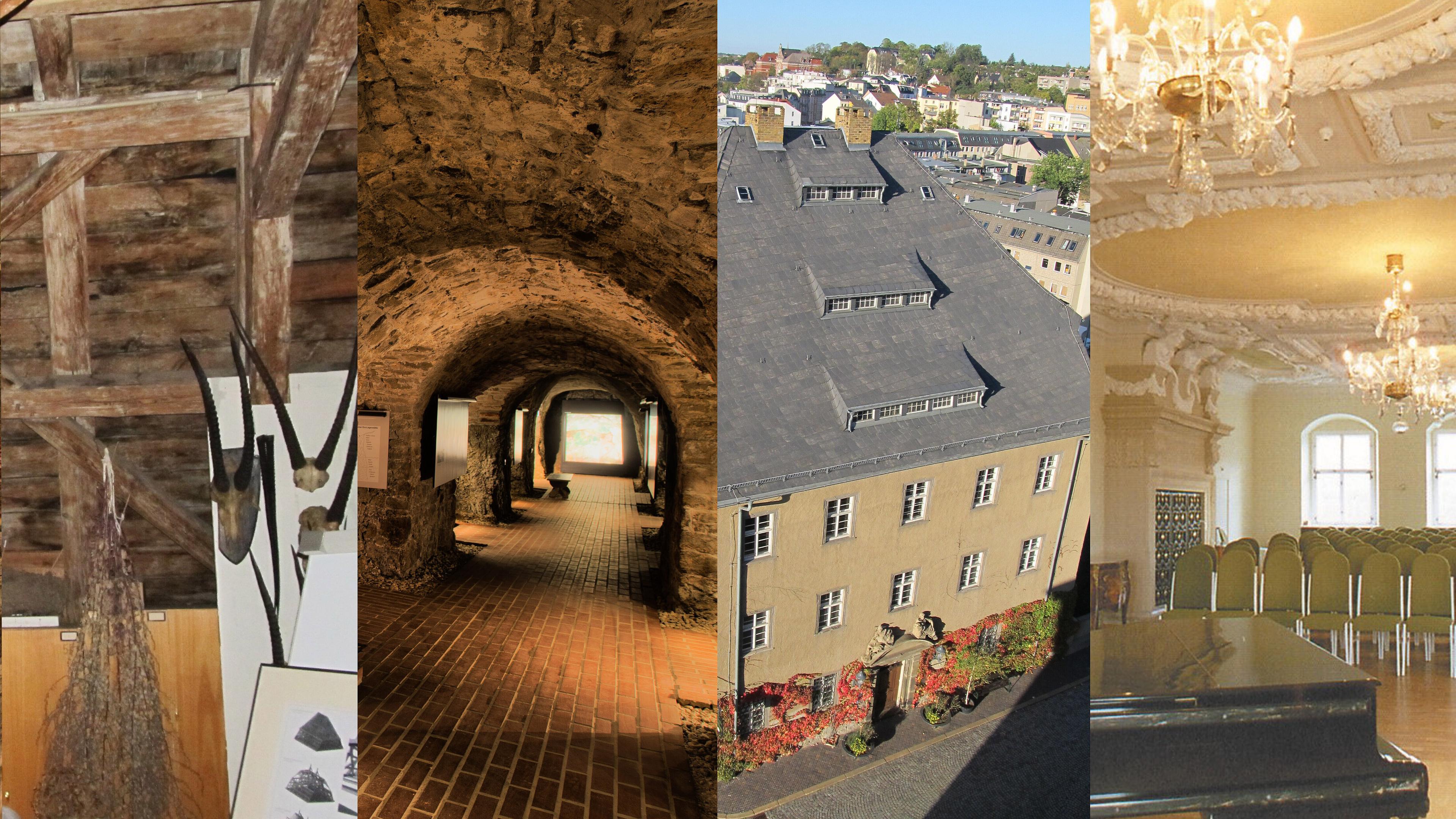 Collage von Innen- und Außenansichten des Museums für Naturkunde Gera. © Stadt Gera / Museum für Naturkunde (Collage: Frank Hrouda)
