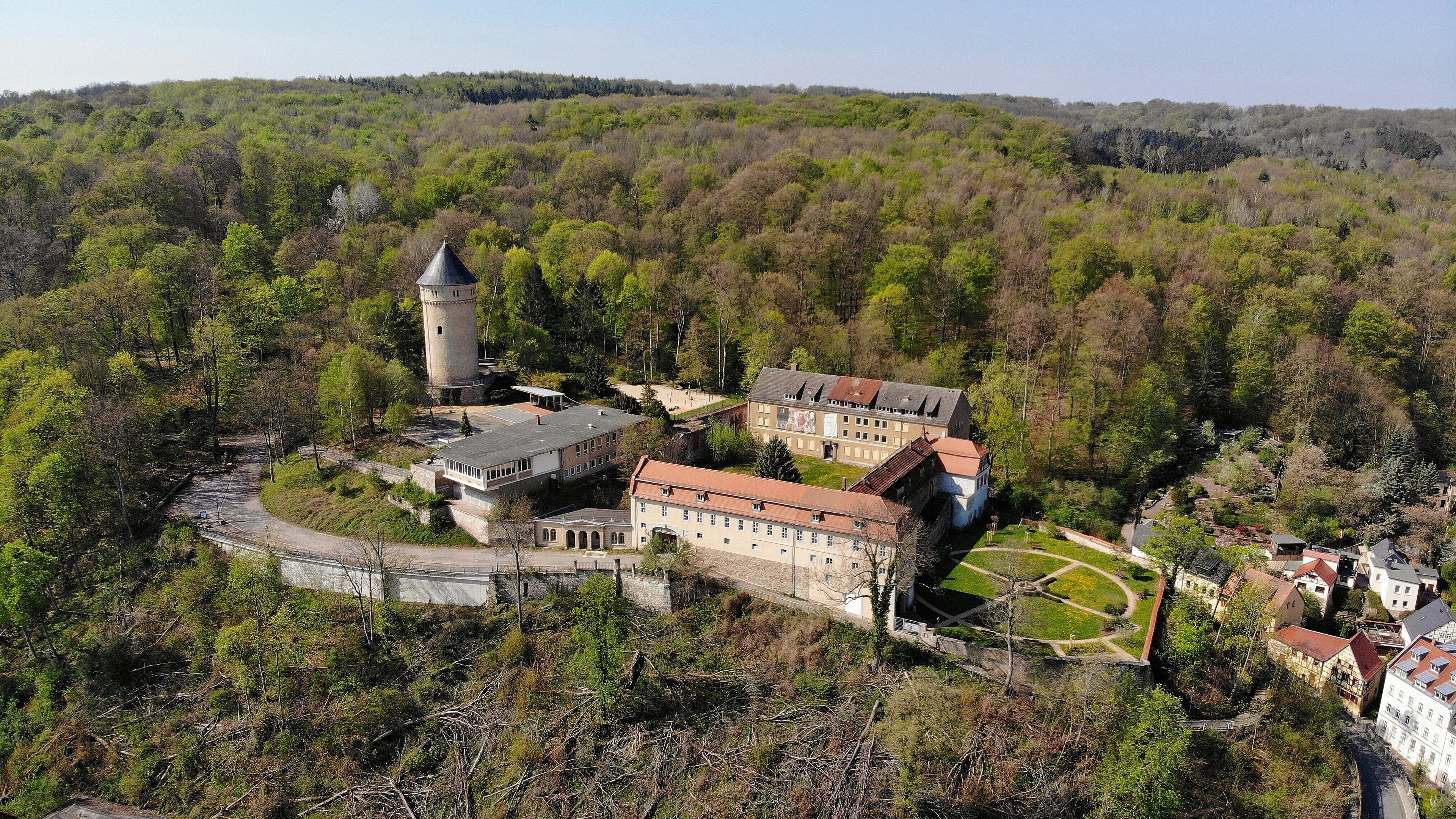 undefined. © Tony Matysik. © Tony Matysik