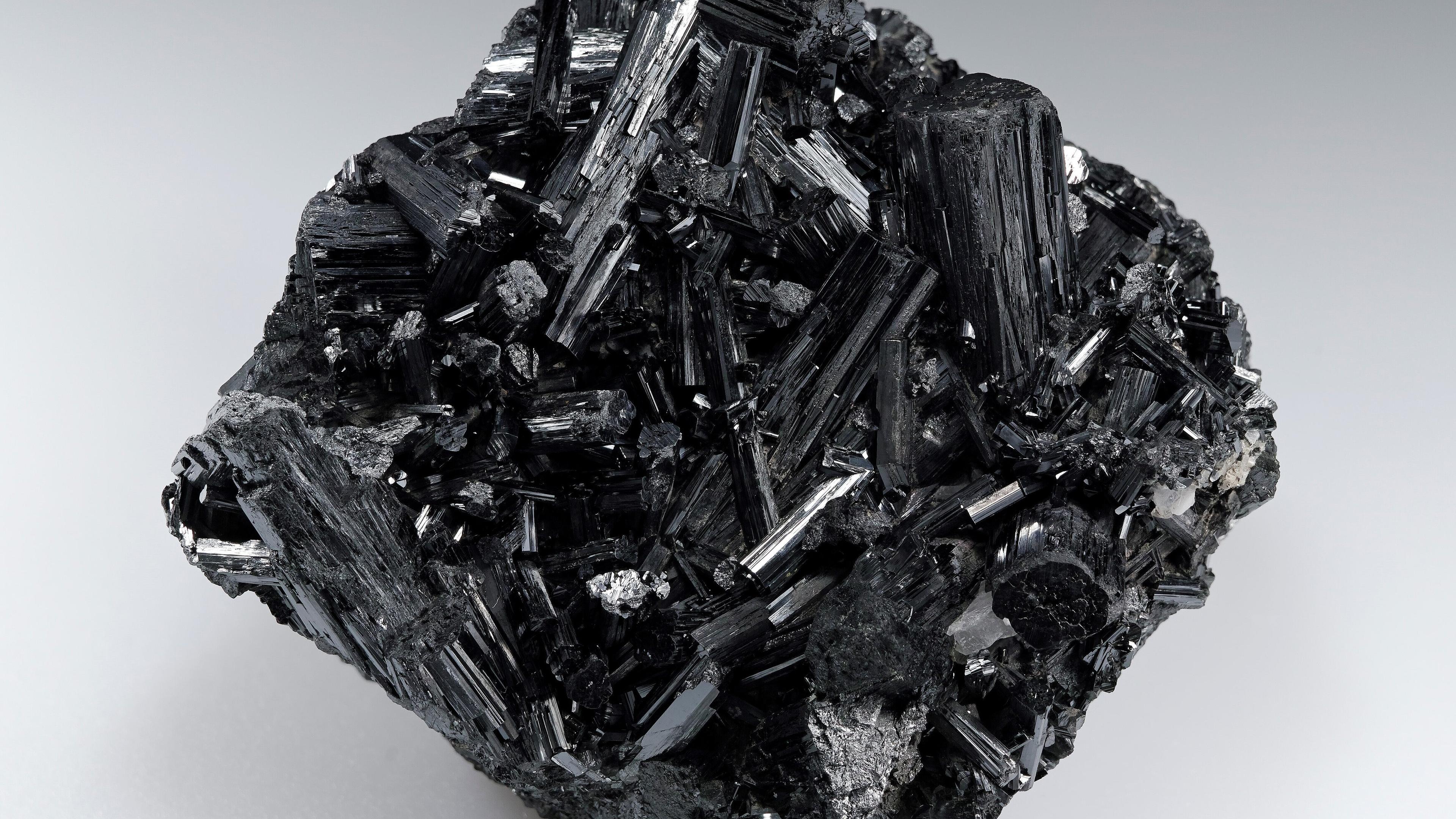 undefined. © Stadt Gera / Museum für Naturkunde (Fotograf: Matthias Reinhardt). © Stadt Gera / Museum für Naturkunde (Fotograf: Matthias Reinhardt)