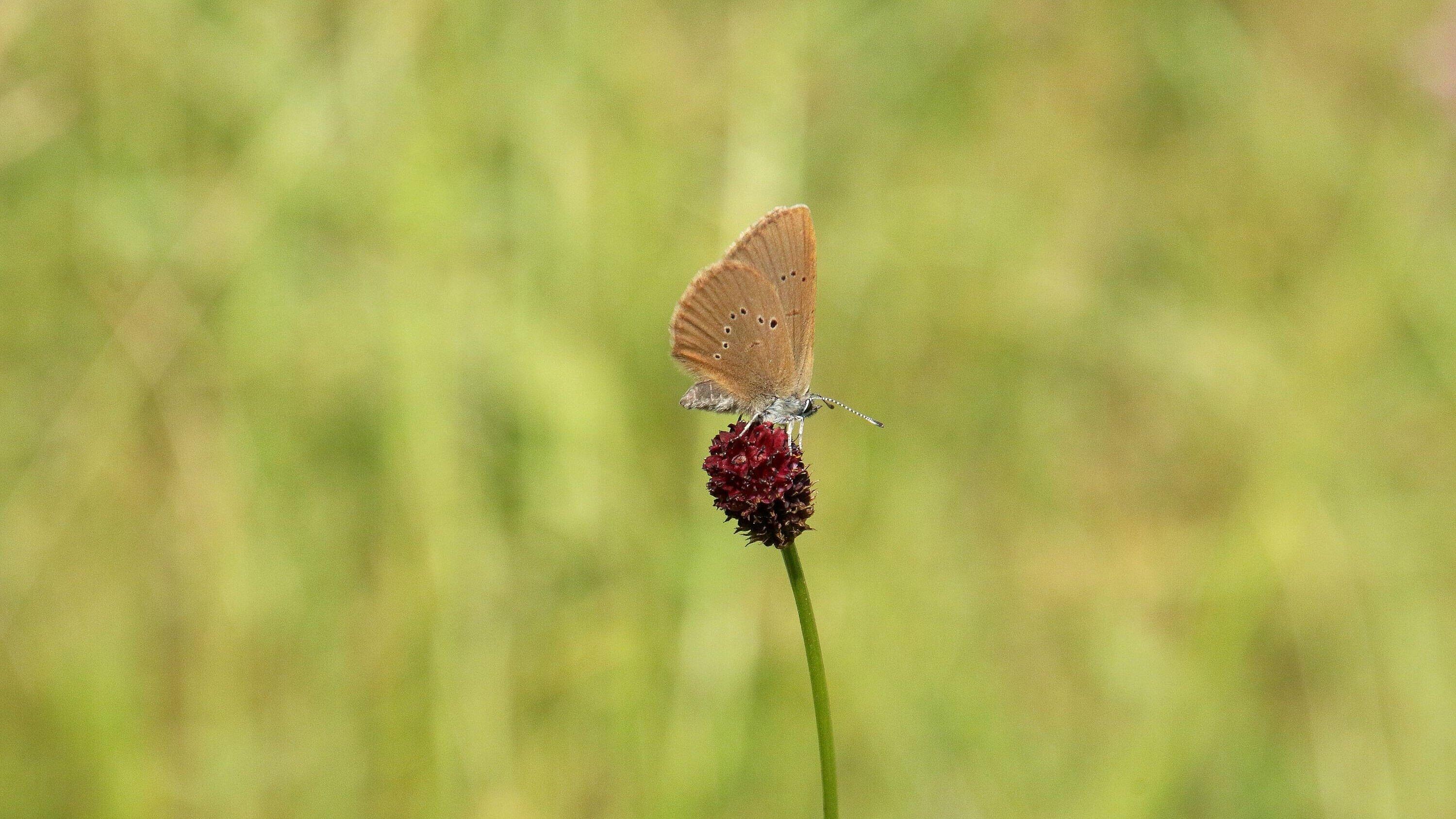 undefined. © Stadt Gera. © Stadt Gera