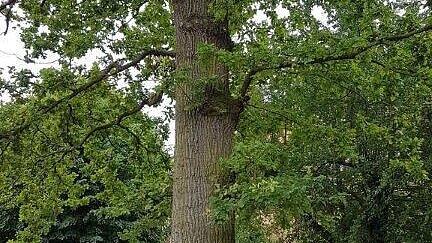 undefined. © Stadt Gera. © Stadt Gera