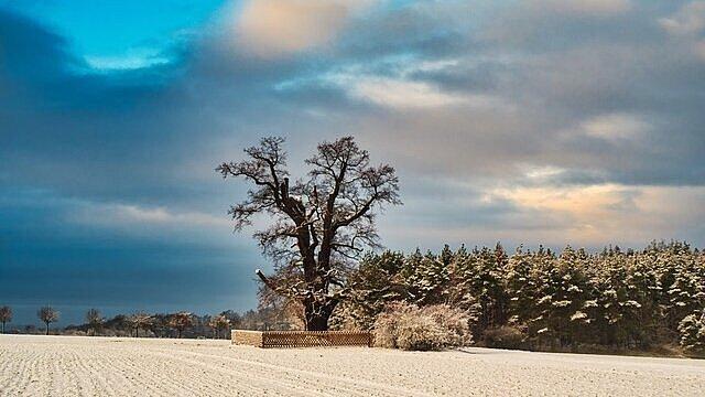 undefined. © Thomas Fietsch. © Thomas Fietsch