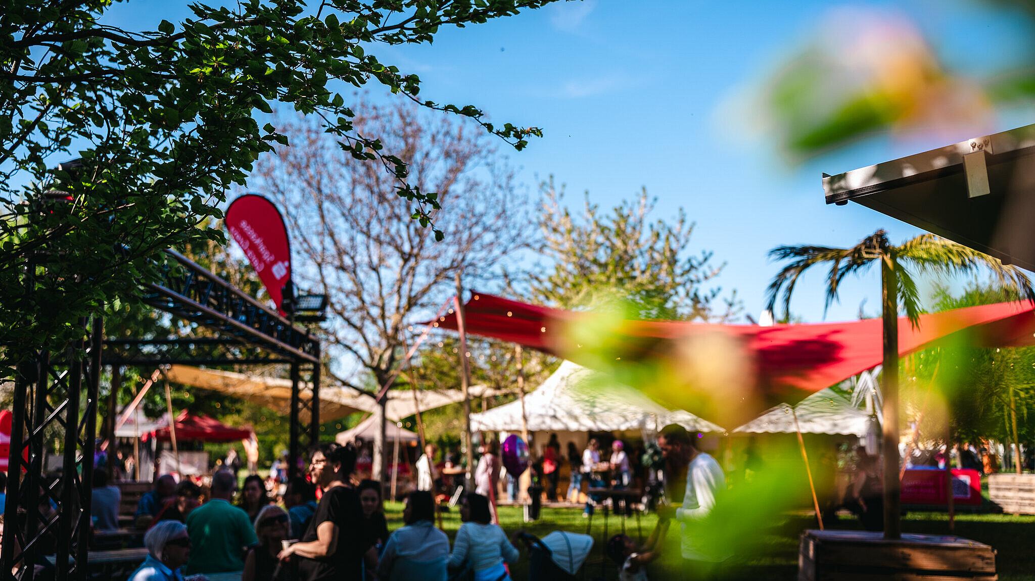 undefined. © Tony Matysik. © Tony Matysik