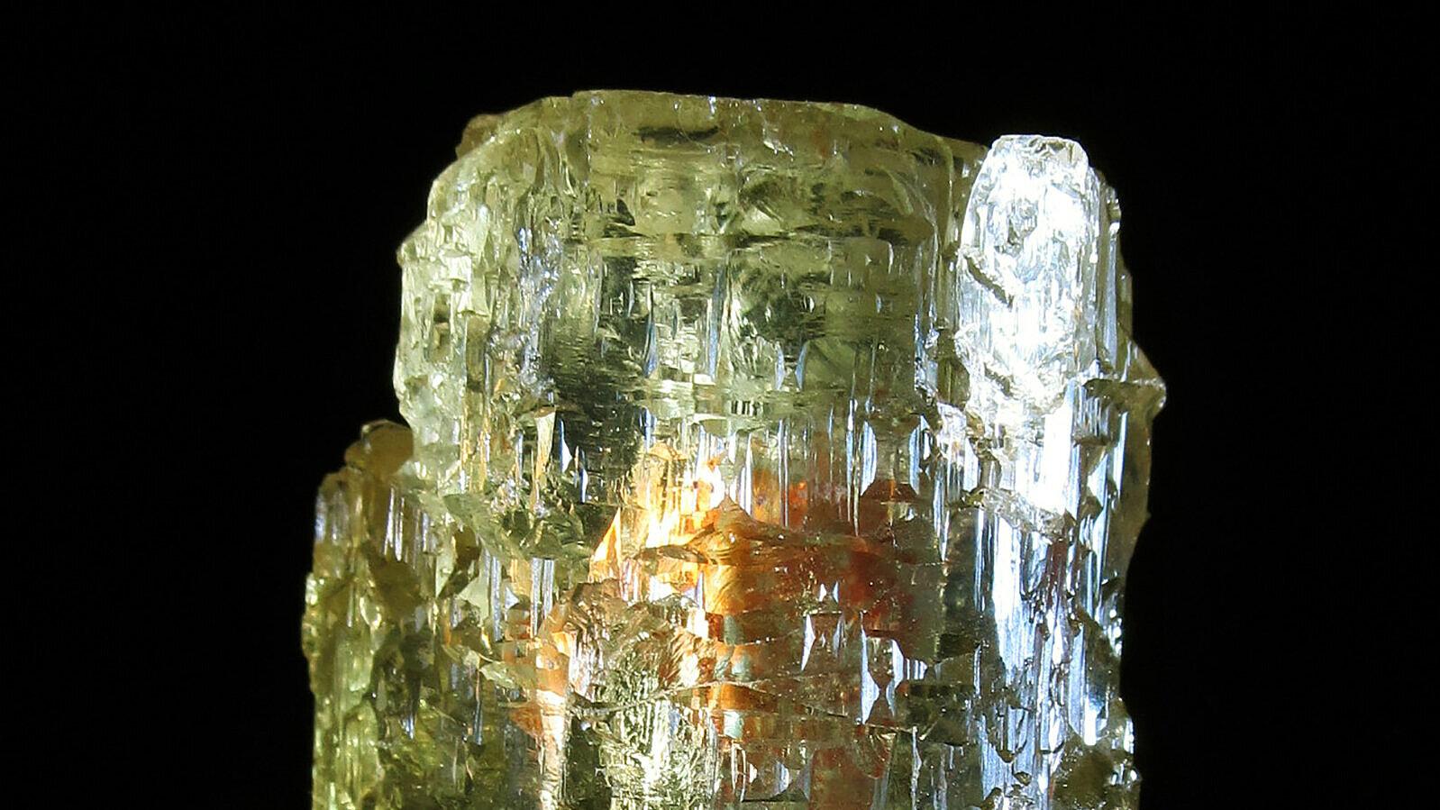 undefined. © Stadt Gera / Museum für Naturkunde (Fotograf: Frank Hrouda). © Stadt Gera / Museum für Naturkunde (Fotograf: Frank Hrouda)