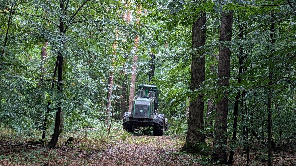 Ein Harvester mitten im Wald. © Stadt Gera
