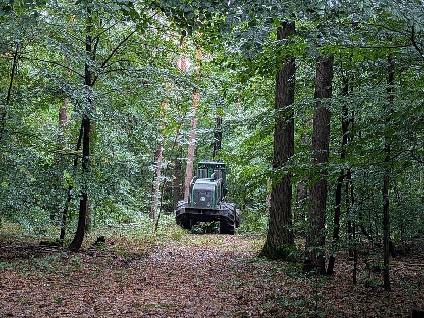 Ein Harvester mitten im Wald. © Stadt Gera