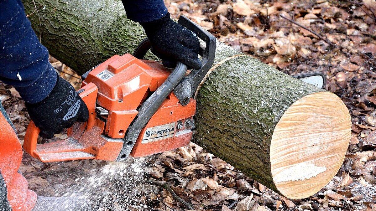 Ein Holzstamm, der von einem Mann mit Kettensäge zerteilt wird. © Pixabay