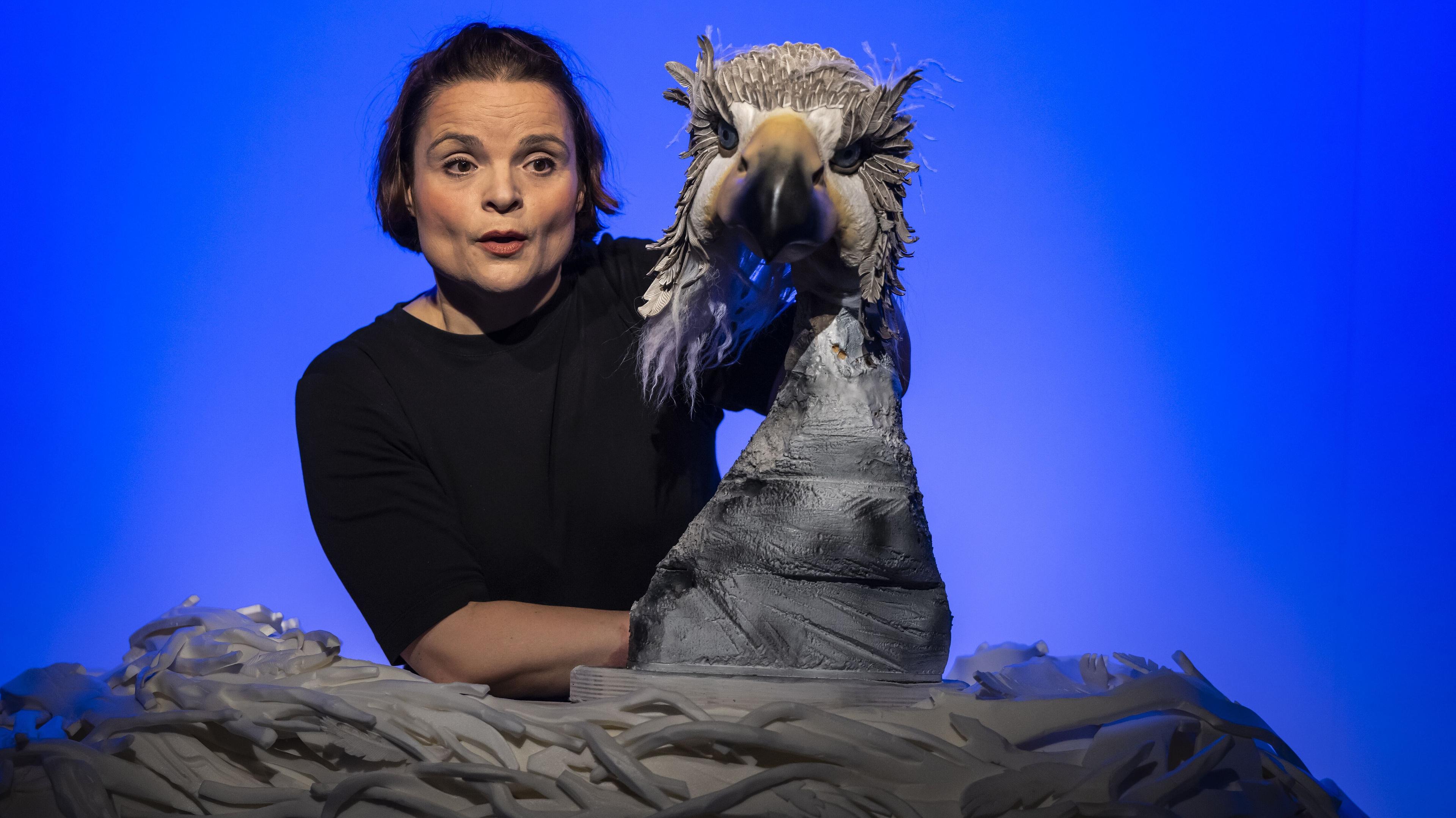 Werbebild „Der kleine hässliche Vogel“.