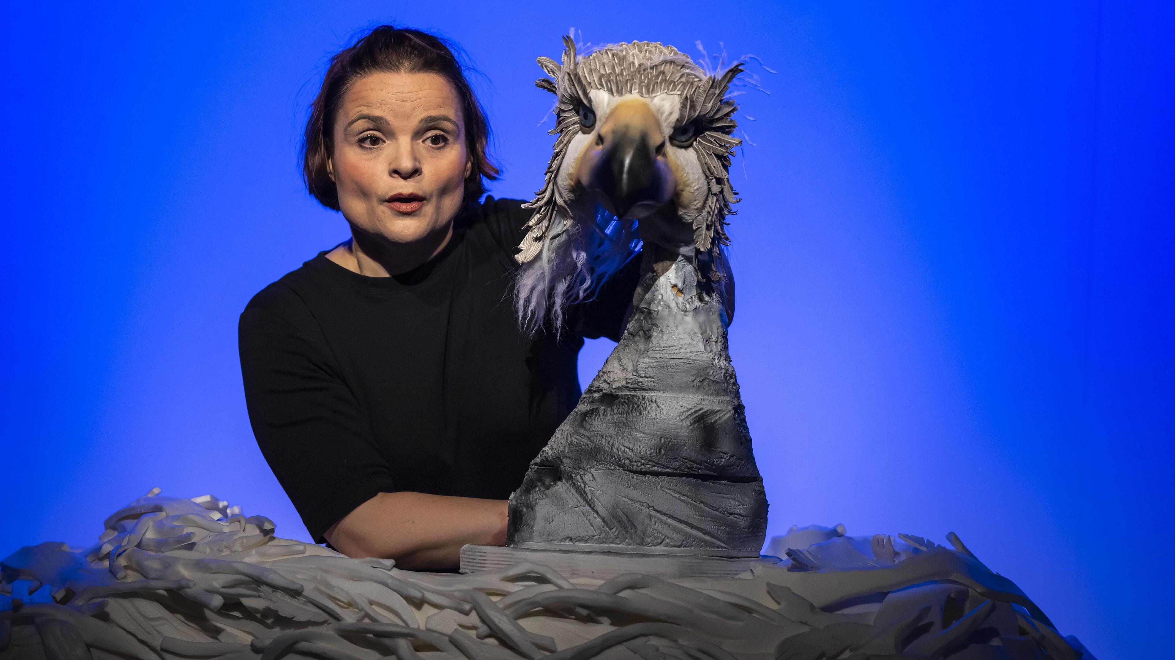 Werbebild „Der kleine hässliche Vogel“.