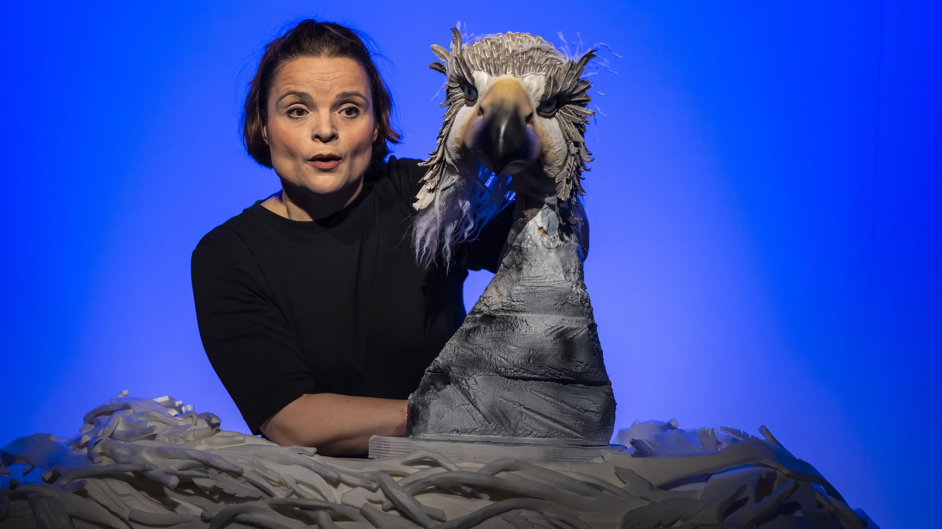 Werbebild „Der kleine hässliche Vogel“.