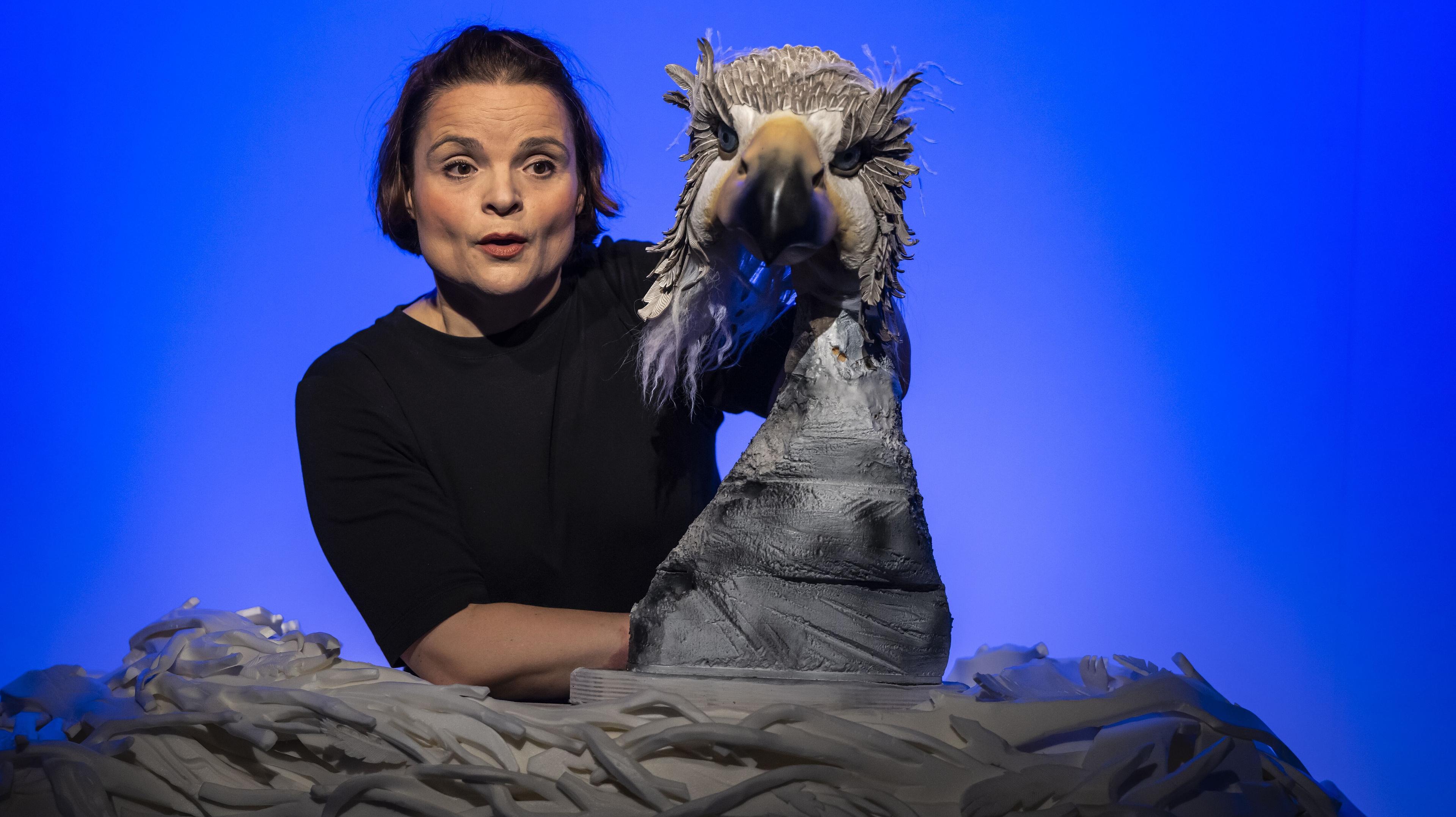 Werbebild „Der kleine hässliche Vogel“.