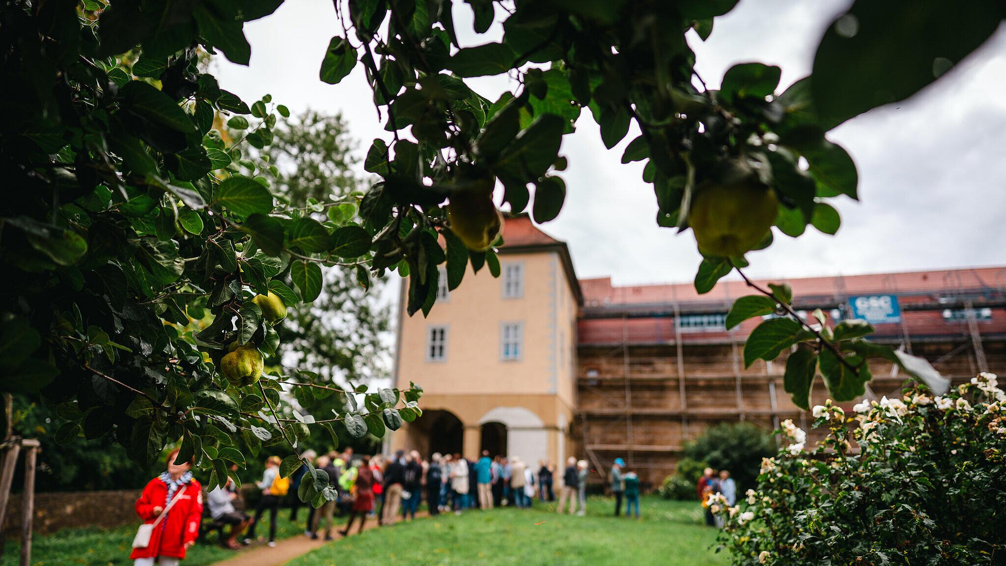 undefined. © Tony Matysik. © Tony Matysik