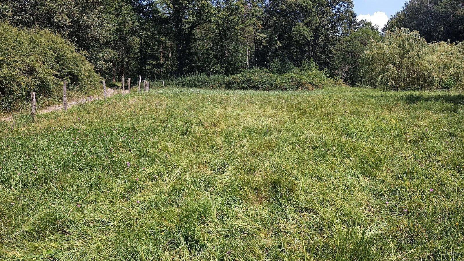 undefined. © Stadt Gera. © Stadt Gera