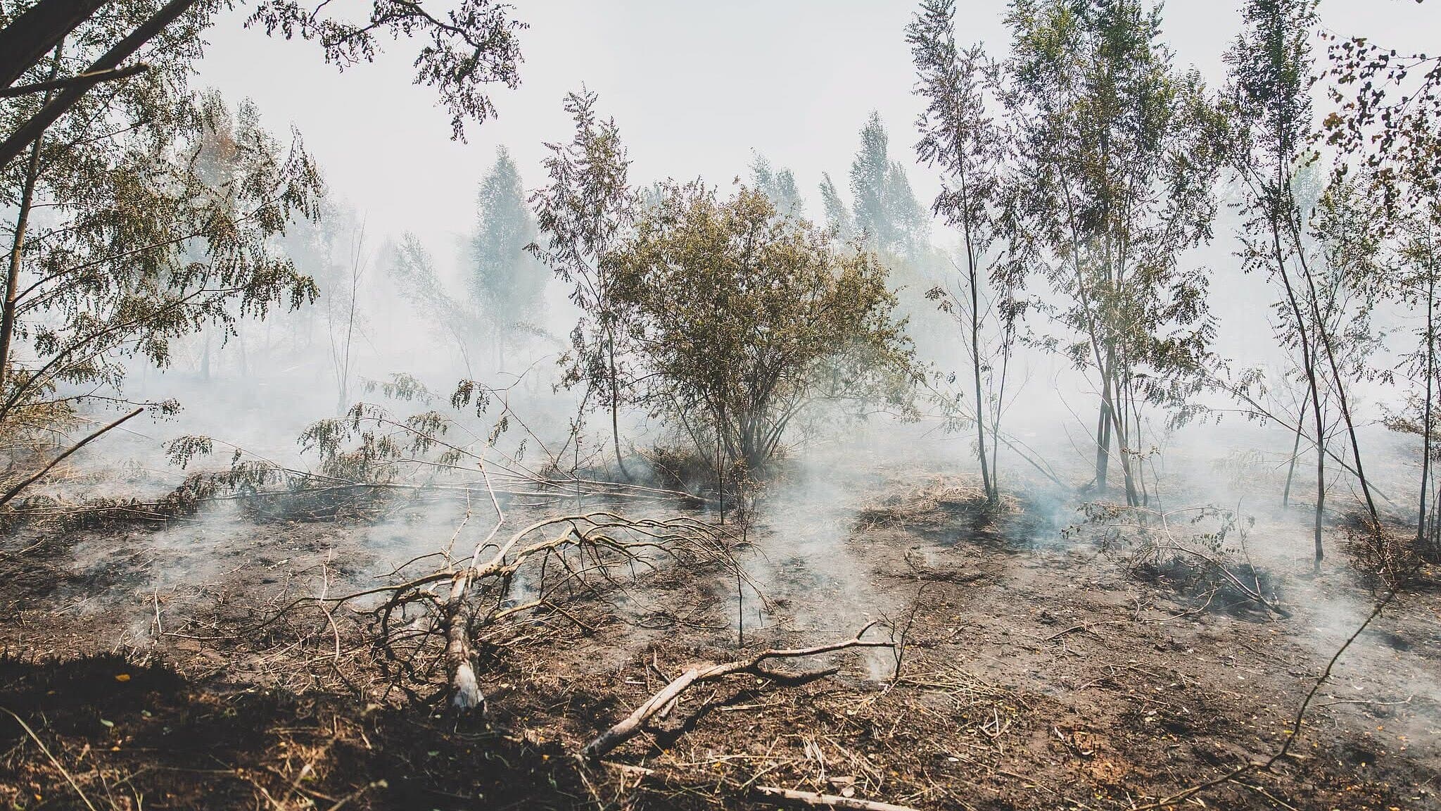 undefined. © Amt für Brand- und Katastrophenschutz. © Amt für Brand- und Katastrophenschutz