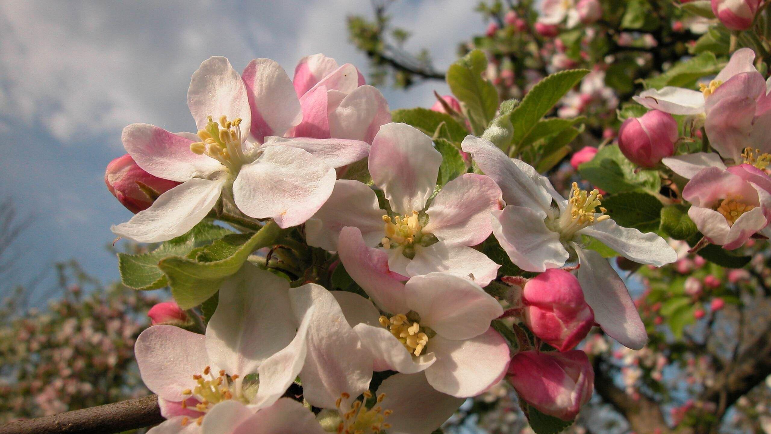 undefined. © Stadt Gera. © Stadt Gera