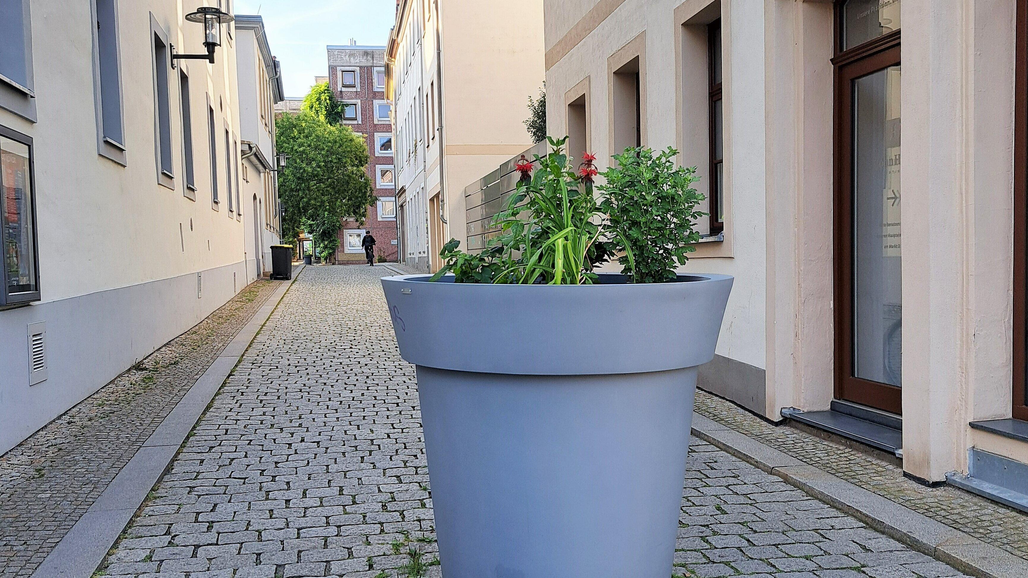 Ein ca. 1,5 Meter großer Pflanzübel inmitten einer Straße. © Stadt Gera