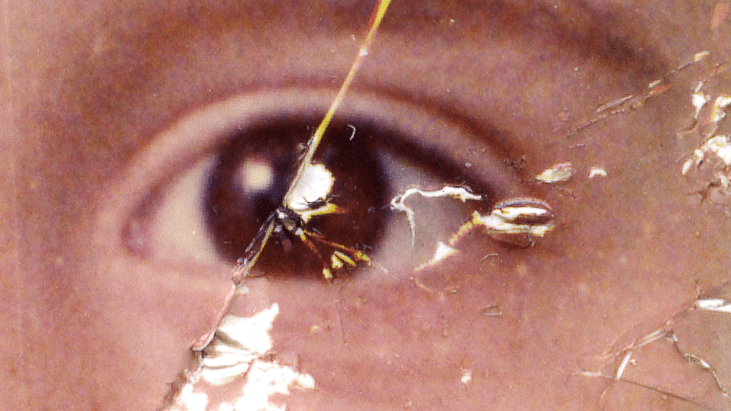 Auge. © Raisan Hameed