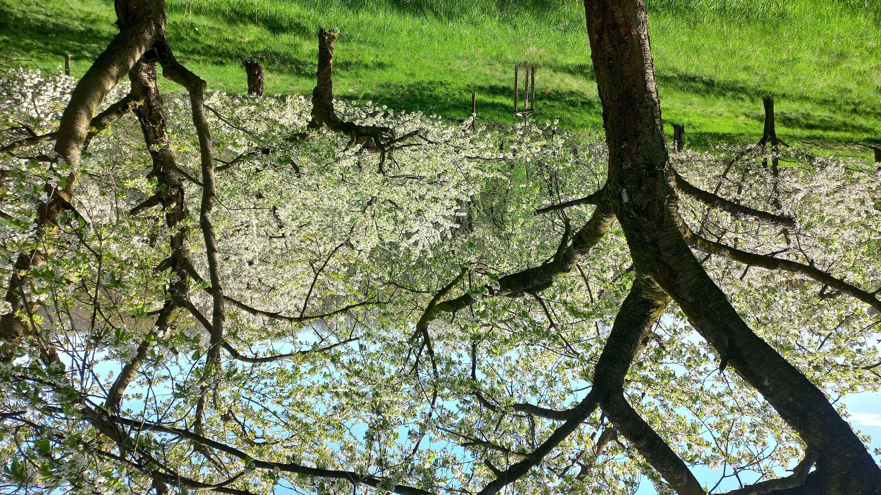 undefined. © Stadt Gera. © Stadt Gera