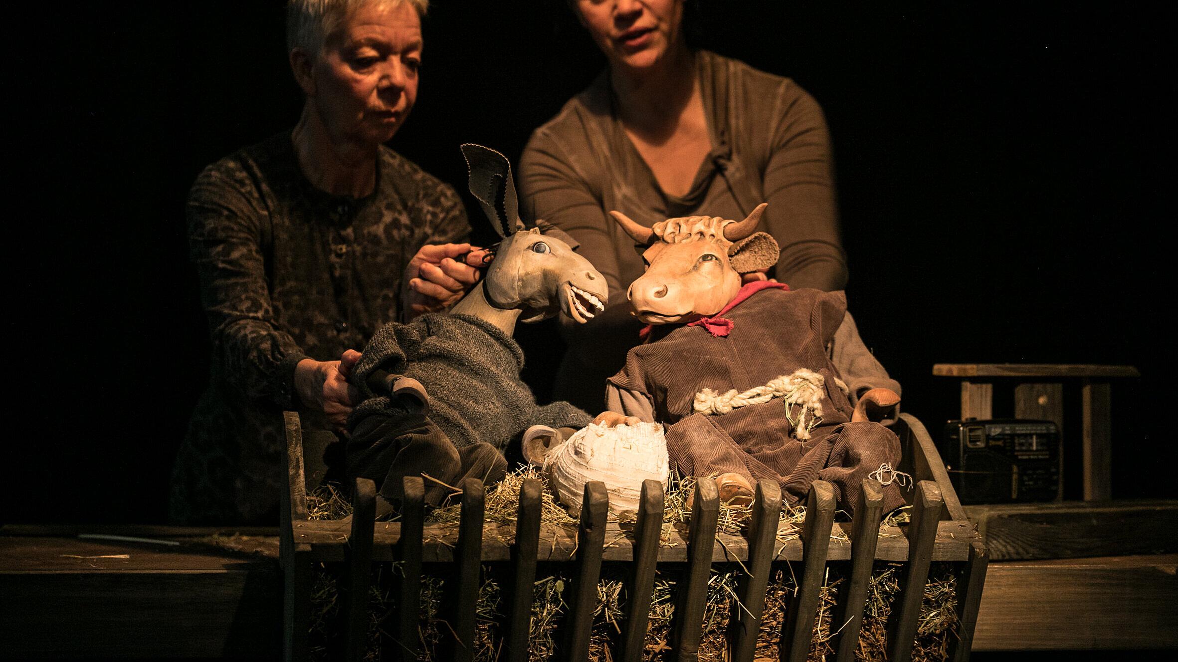 Werbebild „Ox und Esel“.