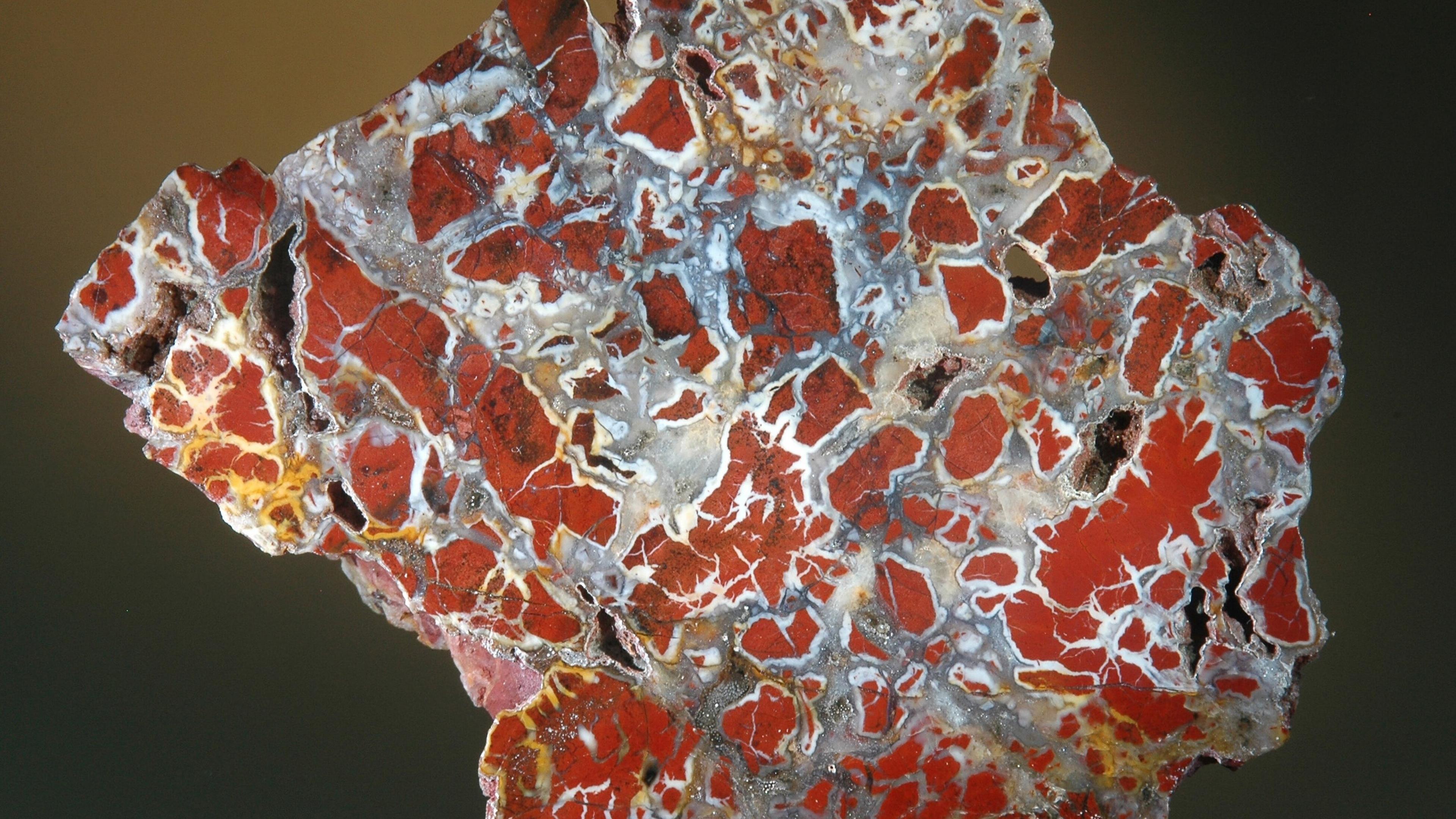 undefined. © Dr. Matthias Schreiter. © Dr. Matthias Schreiter