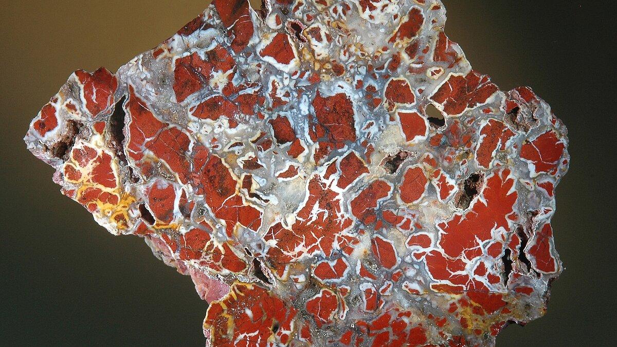 Rot-weiß gesprenkelte Jaspisbrekzie mit Chalcedon von Giuliana auf Sizilien, 11 x 9 cm. © Dr. Matthias Schreiter