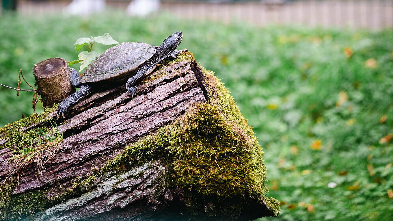 undefined. © Tony Matysik. © Tony Matysik