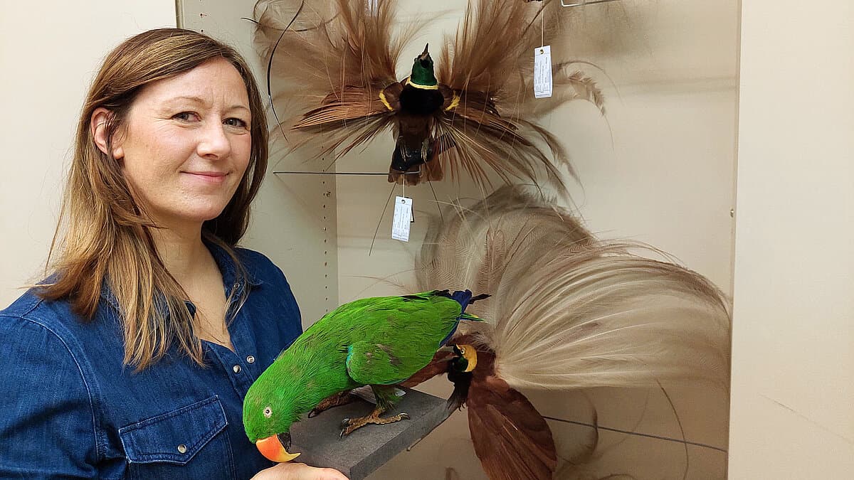 Eine Frau ist im Museum. © Stadt Gera