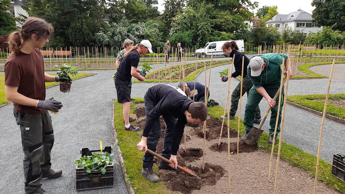 Mehrere Menschen auf Beeten, die Blumen pflanzen. © Stadt Gera