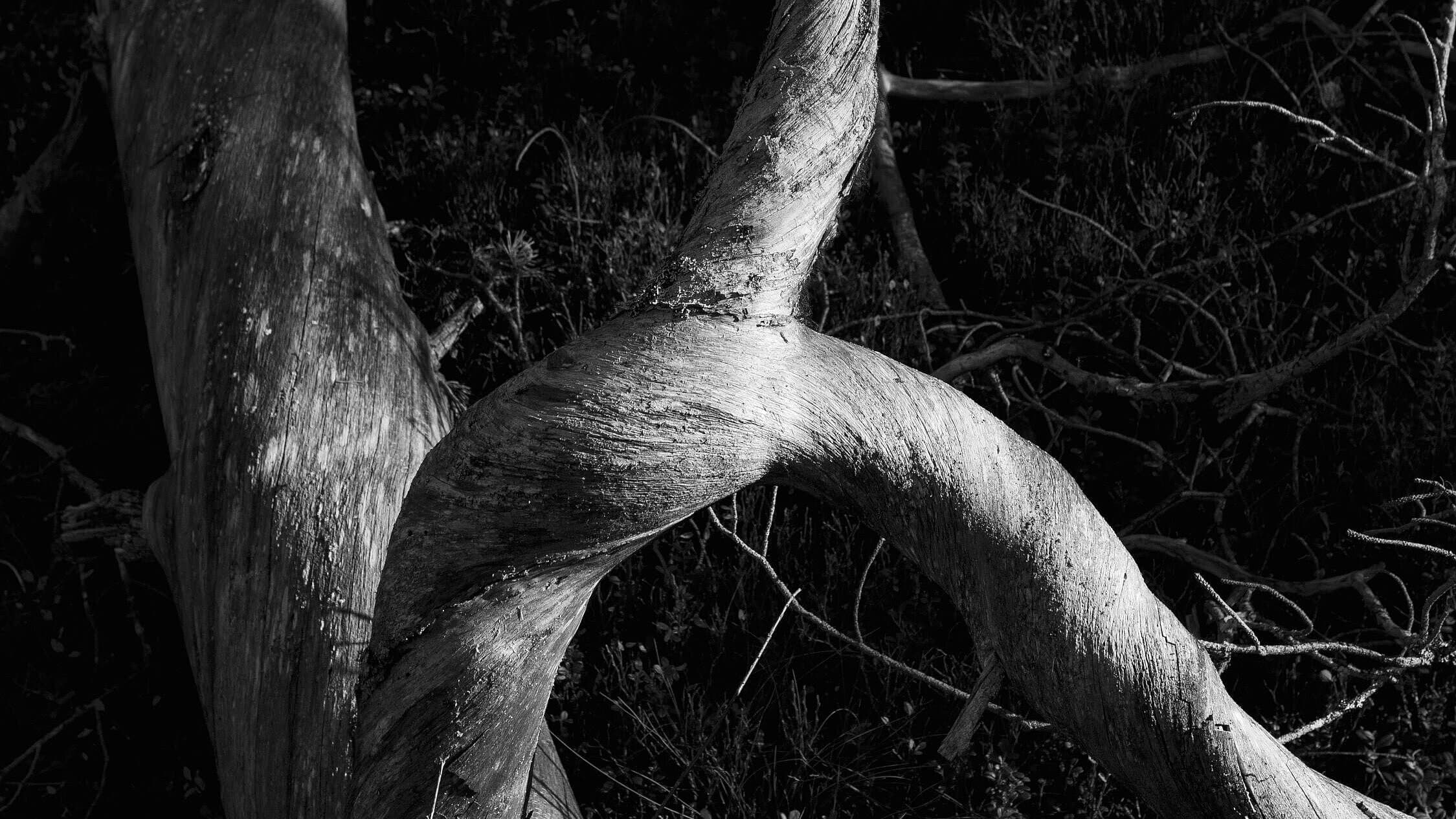 undefined. © Nora Schwarz. © Nora Schwarz