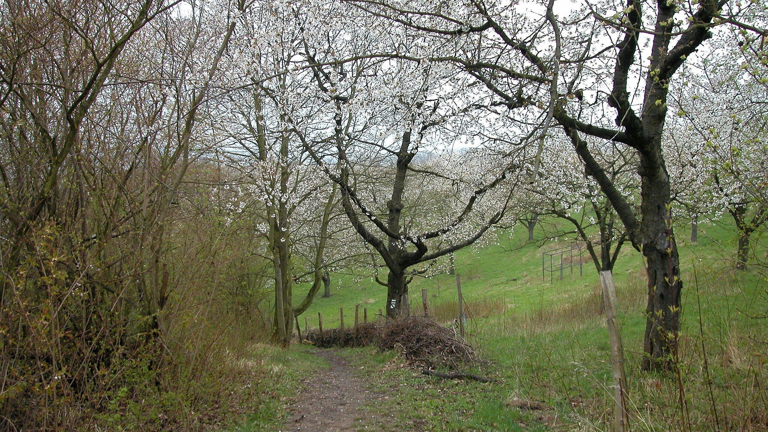 undefined. © Stadt Gera. © Stadt Gera