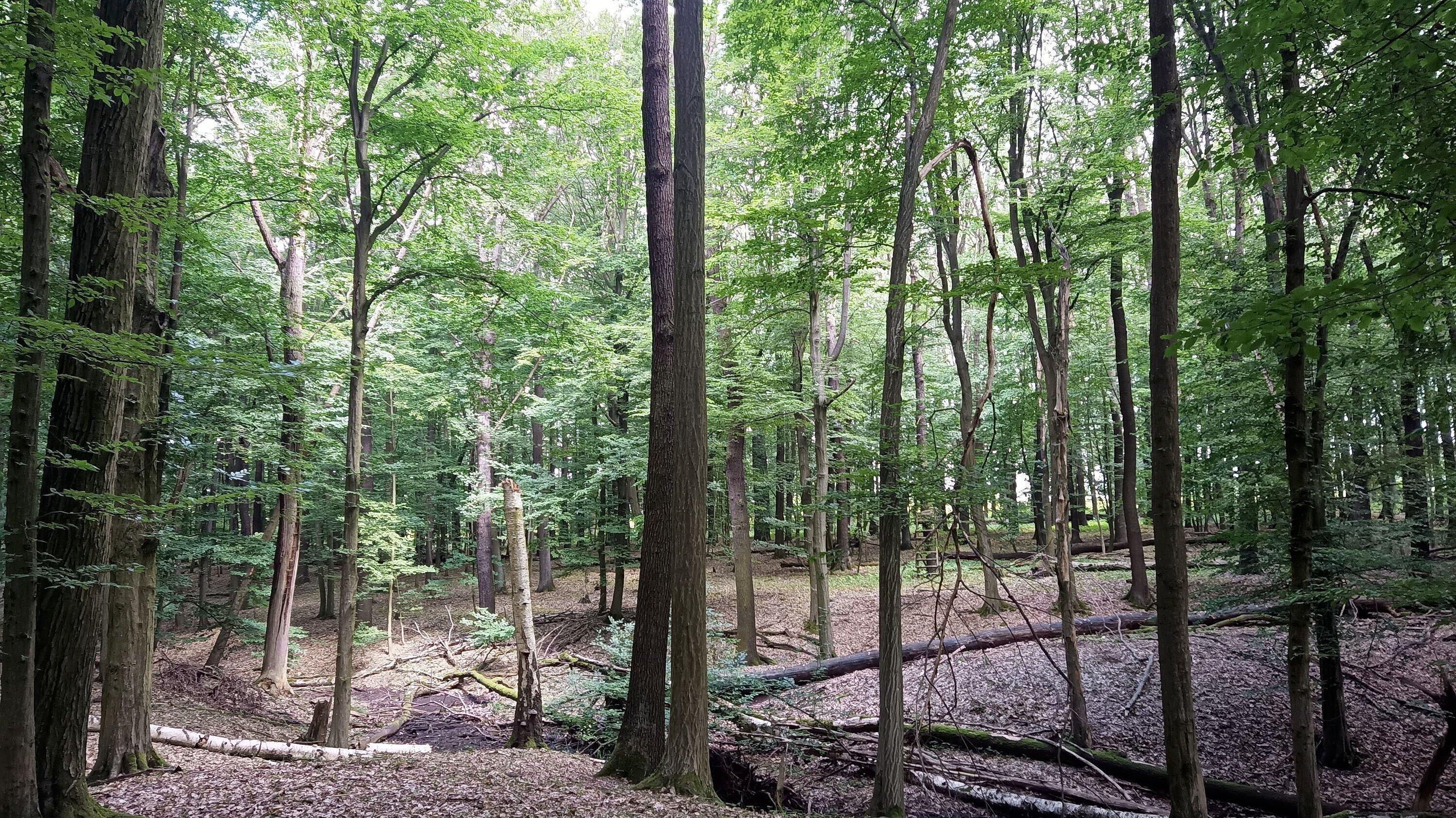 undefined. © Stadt Gera. © Stadt Gera